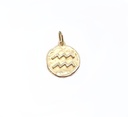 Zodiac pendant 585/000 yellow gold